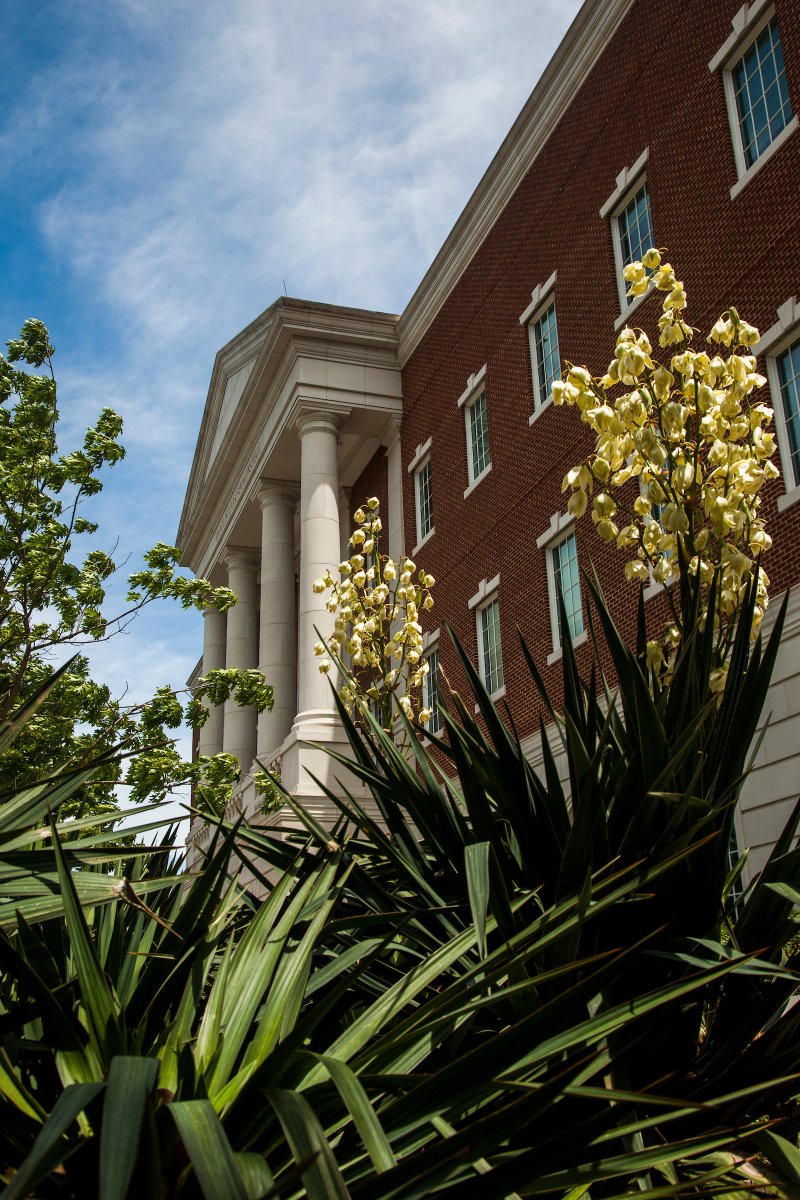 Simmons School of Education & Human Development tweet media