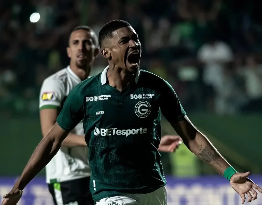 Antônio70🇫🇷🦁 tweet media