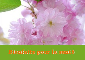 MinghuiFr's tweet image. Mes maladies chroniques ont disparu après avoir commencé à pratiquer le Falun Dafa. #FalunDafa #Dafa #BienfaitsPourLaSanté fr.minghui.org/html/articles/…