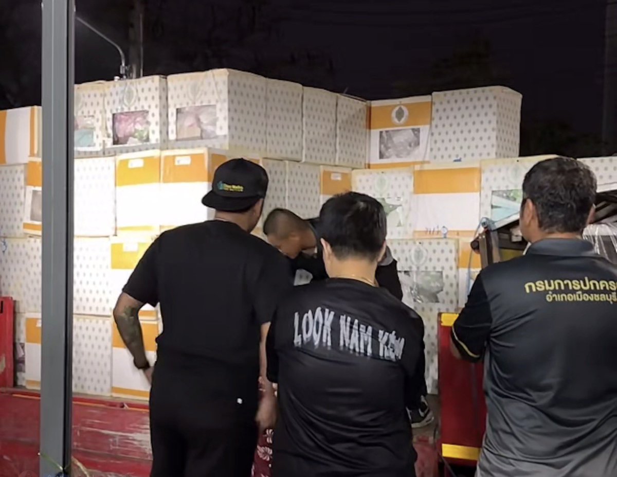 ไพ๊ tweet media