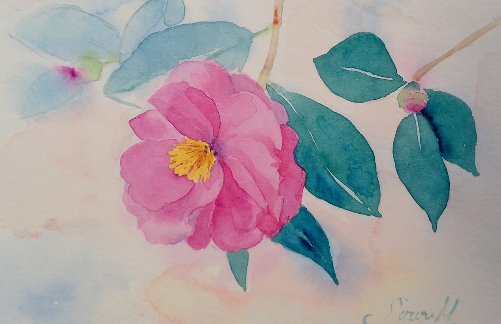 Post by デザート担当 on X: 素敵😀