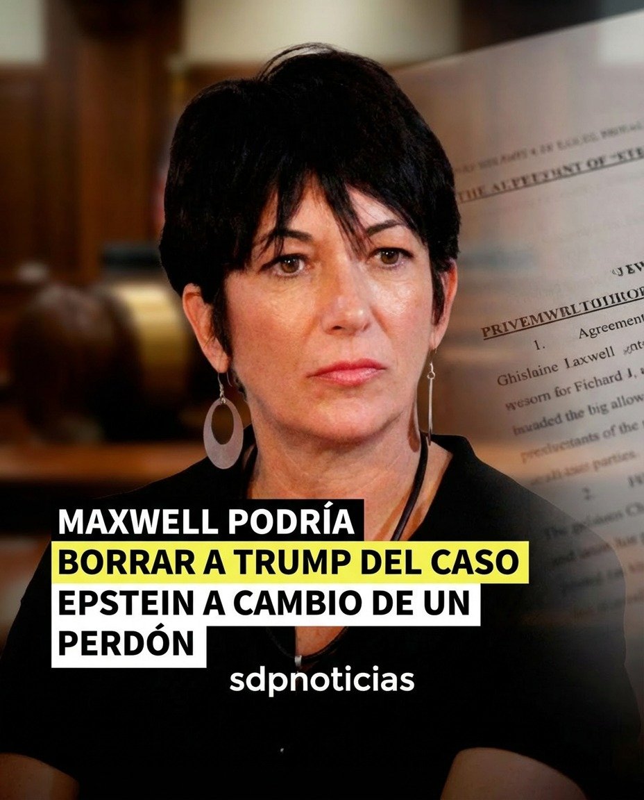 sdpnoticias's tweet image. Ghislaine Maxwell podría limpiar el nombre de Donald Trump 🙀 del caso de Jeffrey Epstein a cambio de un perdón 👀

Tras ser citada a declarar ante el Comité de Supervisión de la Cámara de Representantes, Ghislaine #Maxwell se acogió a la Quinta Enmienda de la Constitución de
