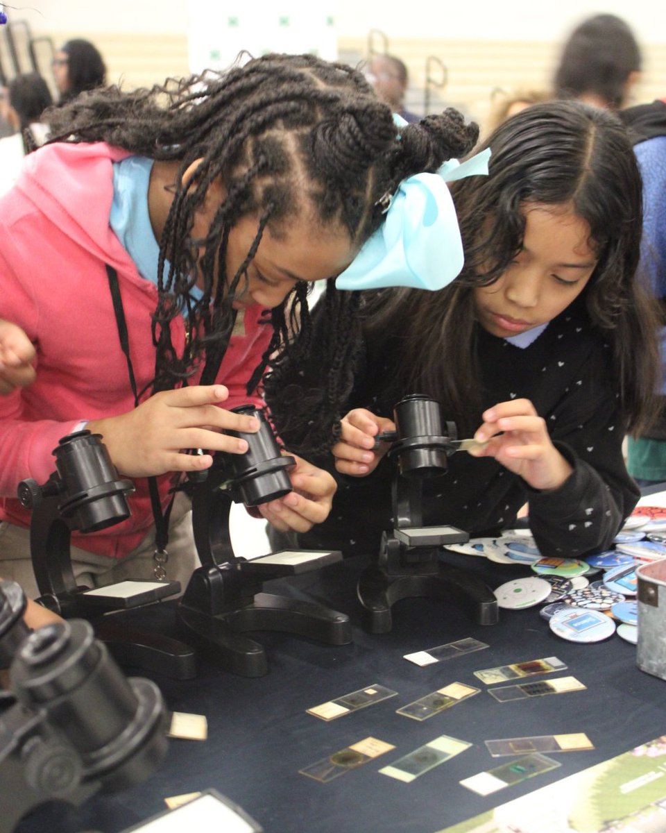 Alabama STEM Council tweet media