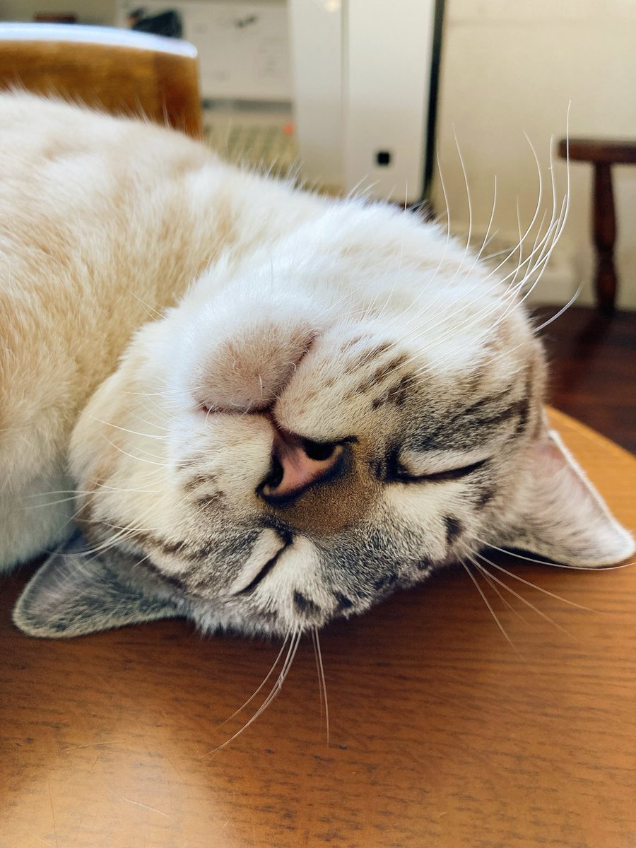 そら🐾 (@_sora0613_) / Posts / X