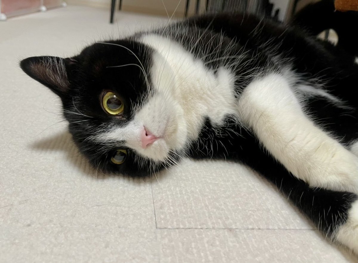 たろう (@taro20216) / Posts / X