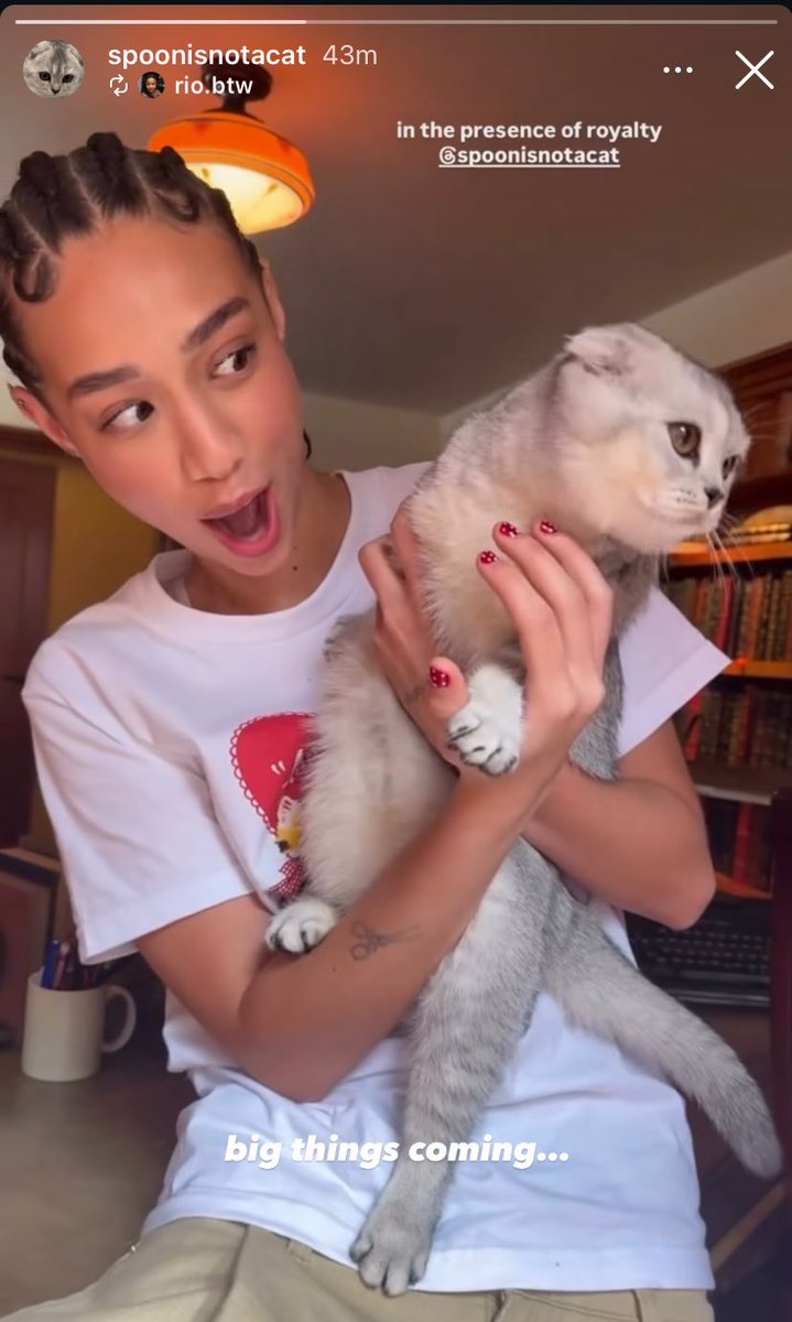 OH MY GOD ITS HAPPENINGGG WDYM BIG THINGS COMING?!?$?!