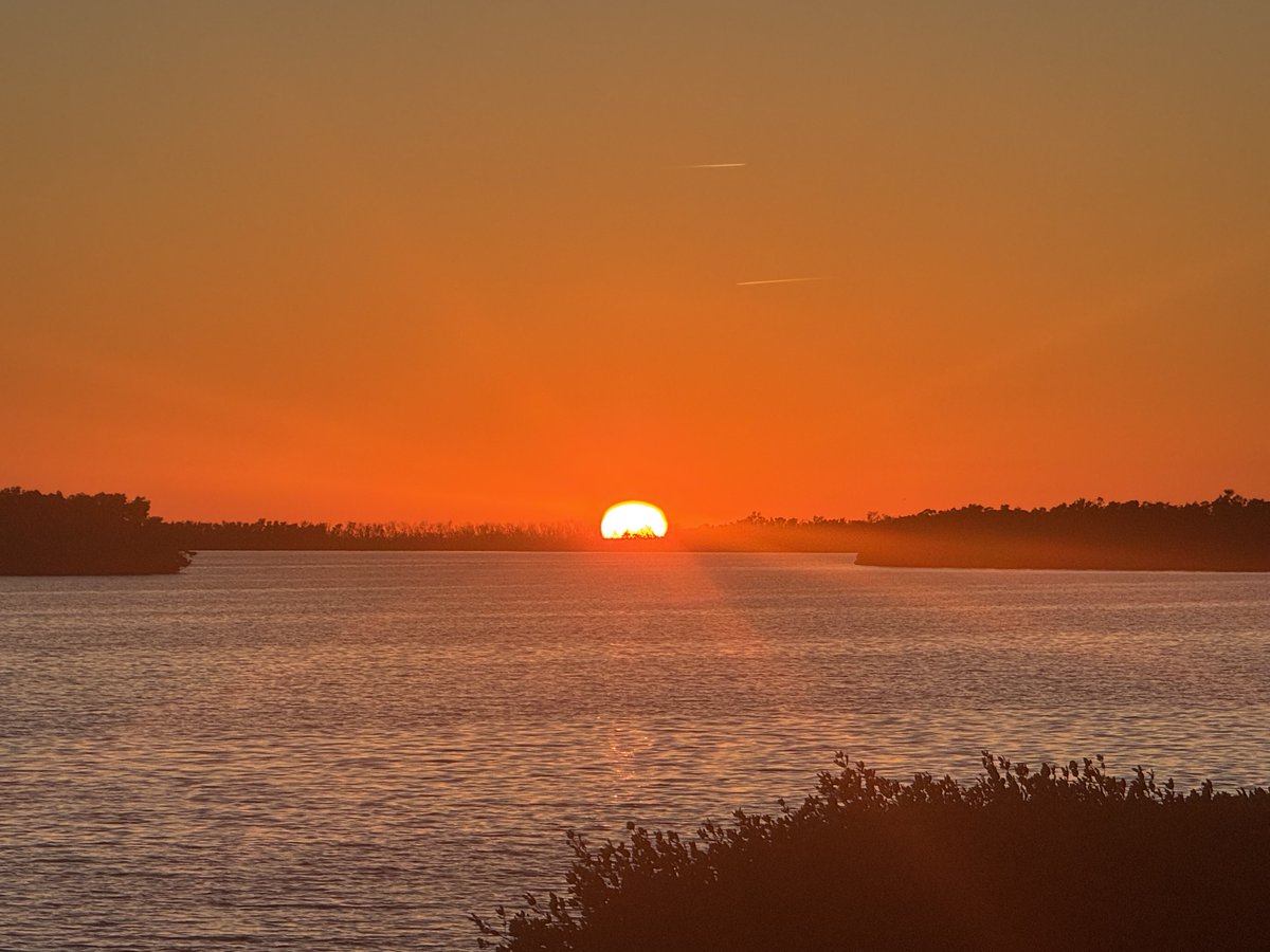 Gary Cardone tweet media