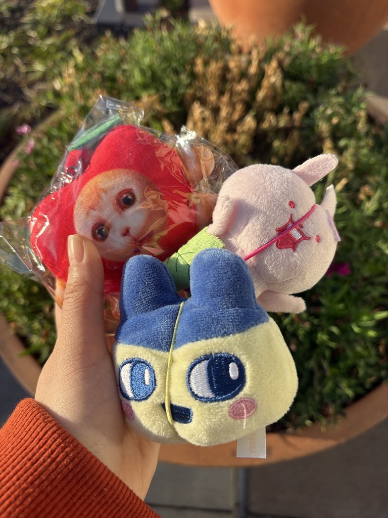 YALL LWK IM KIMDA GOATED WTF!!! i only spent $14 total holeh moleh