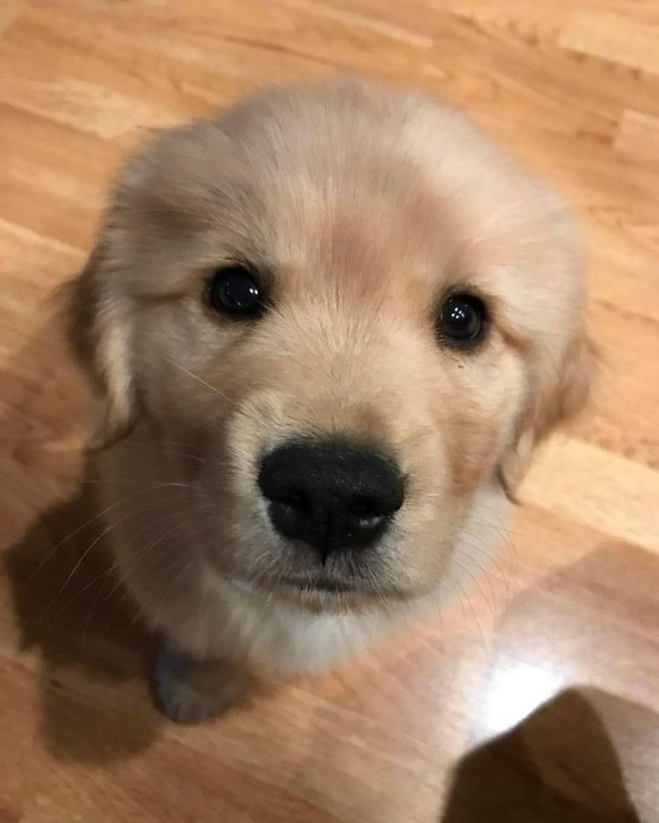 タイムライン、リセット！！！