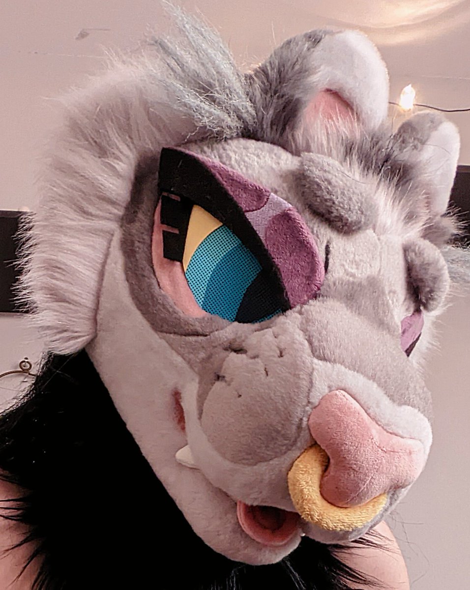 houndsTEETH tweet media