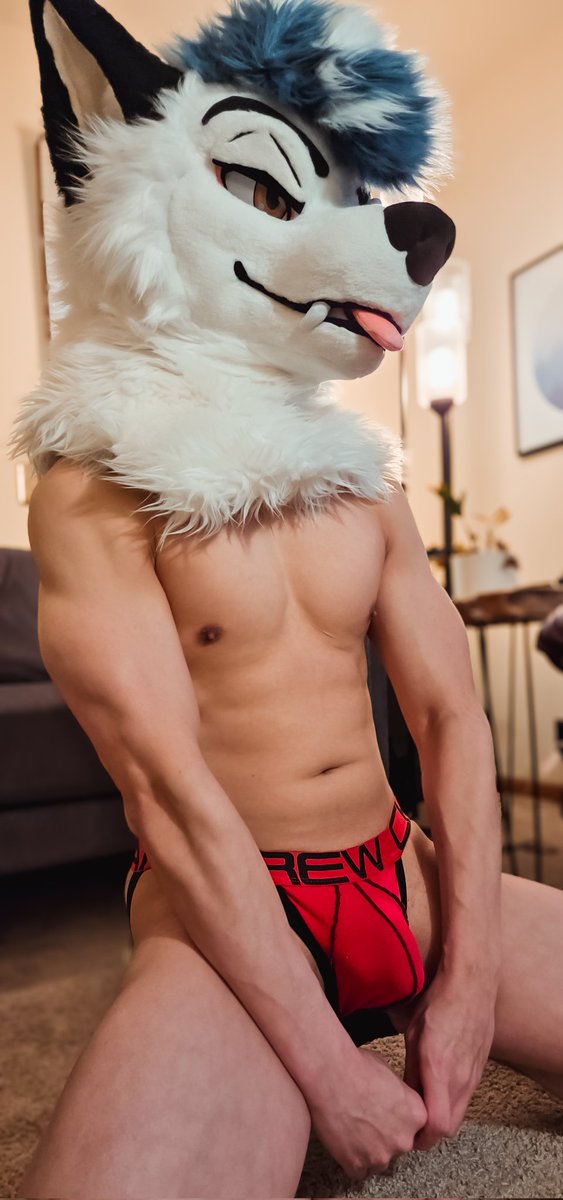 Fraye➡️LVFC tweet media