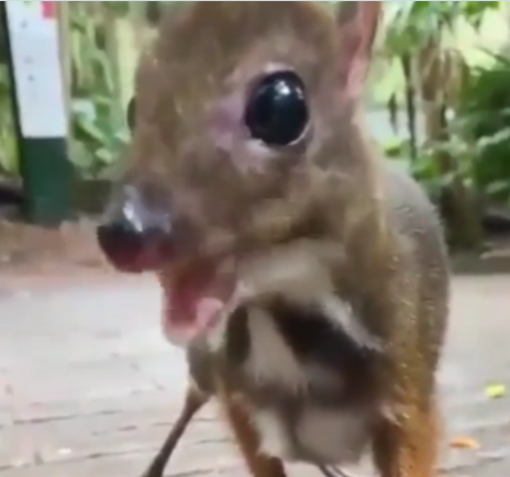 James (@jamesfarme86479) on Twitter photo 