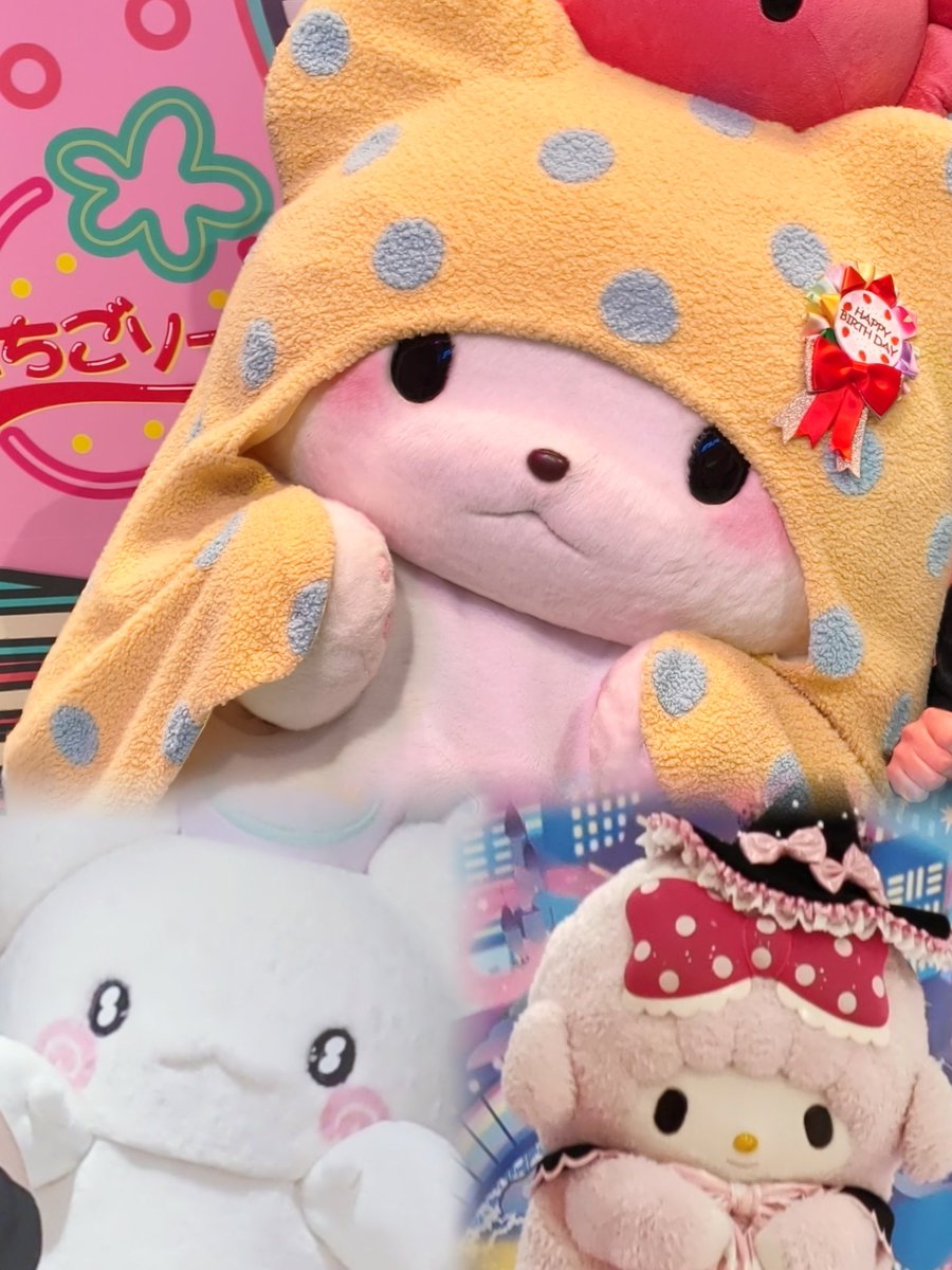 かっきー (@k1105smilehappy) / Posts / X