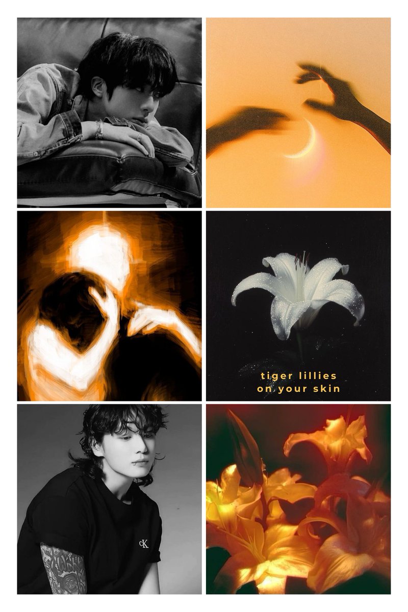 “tiger lillies on your skin” | jinkook

🪻 7.3k, 2/2
🪻 written for <a href="/jinkooklovefest/">Jinkook Love Fest 2025 | Reveals!</a> 
🪻 pistilverse
🪻 venom stamen jeongguk, pistil seokjin
🪻 fluff and angst and smut

🔗archiveofourown.org/works/74922031