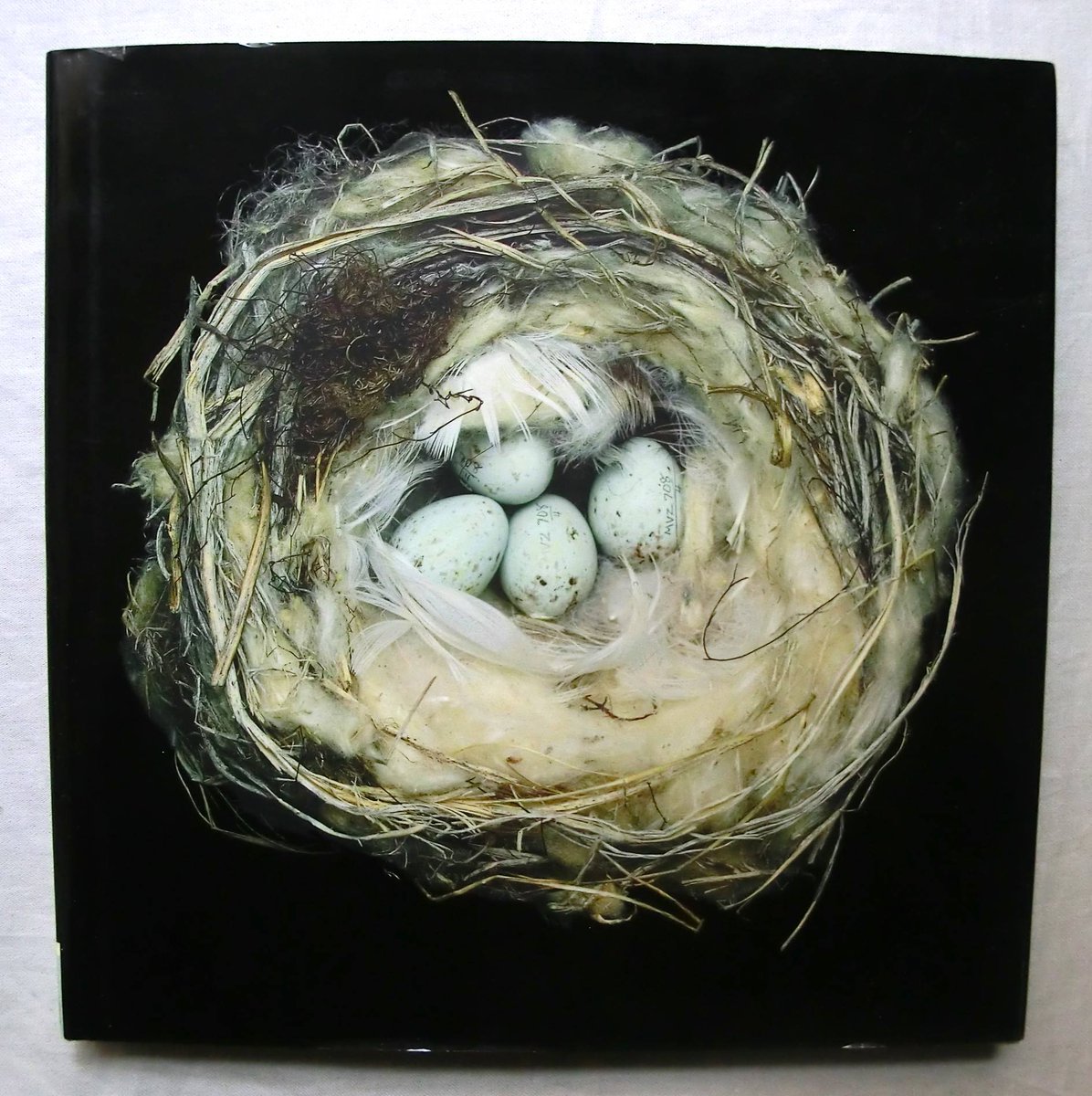 🪹シャロン・ビールズが撮影した世界各地50種の 鳥の巣の写真集。枝や