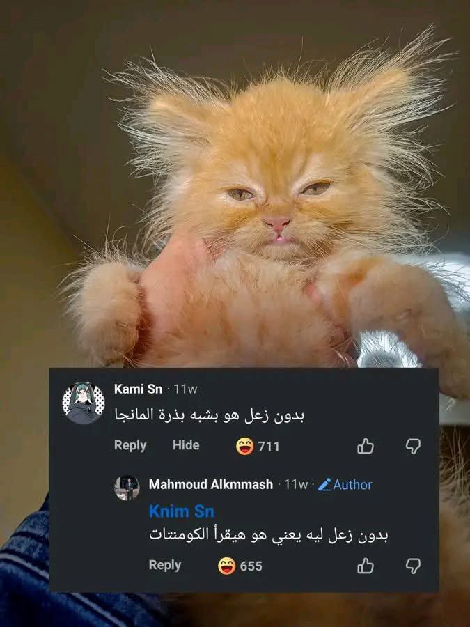 Mustafa (@mustafaamenn) on Twitter photo 