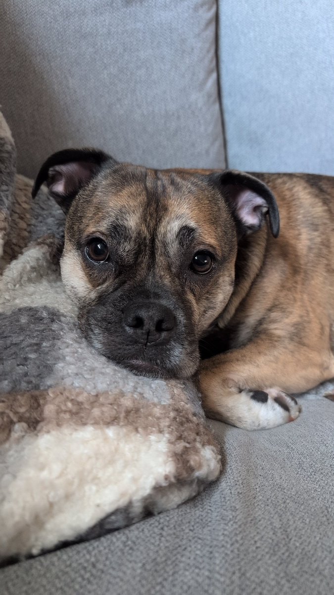 I love him so much 🥺❤️