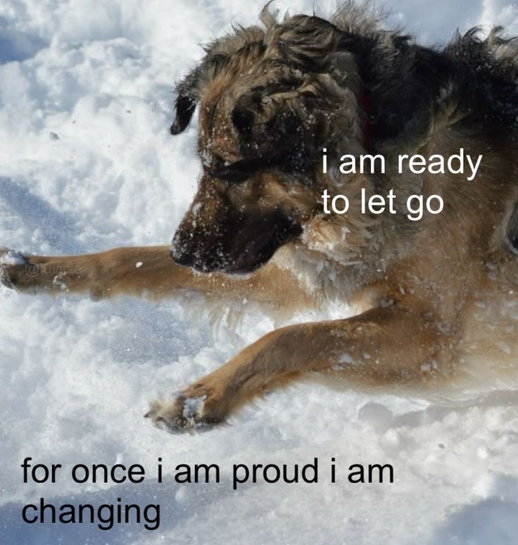 Lovandfear's tweet image. 