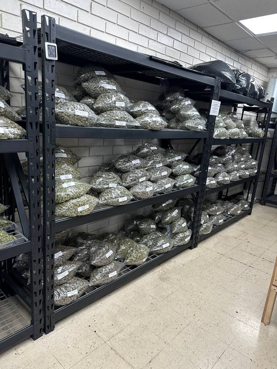 GIVEAWAY GIVEAWAY 🎉🎉

All This Packs Going Out For Free I Want To Empty My WholeHouse Posting New Drop 

Free Free Weed
Repost
Like this tweet
Follow:<a href="/elmer_budd420/">ELMER'S BUDD</a>
Follow: <a href="/WELSONFIREHOUSE/">WELSON FIRE HOUSE 🏪</a>

4 Winners get All this Pick a number 1-500