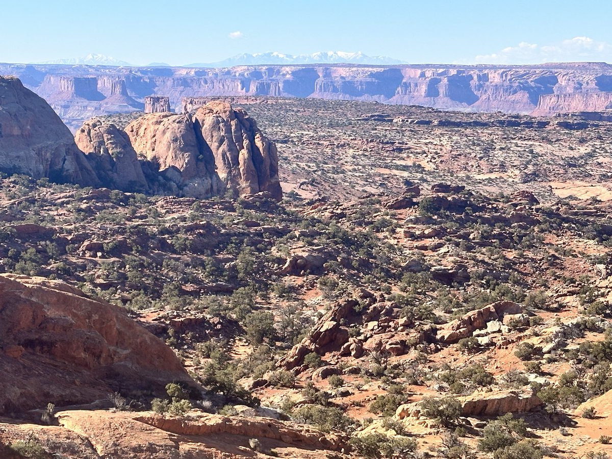 ✨Leah✨ tweet media