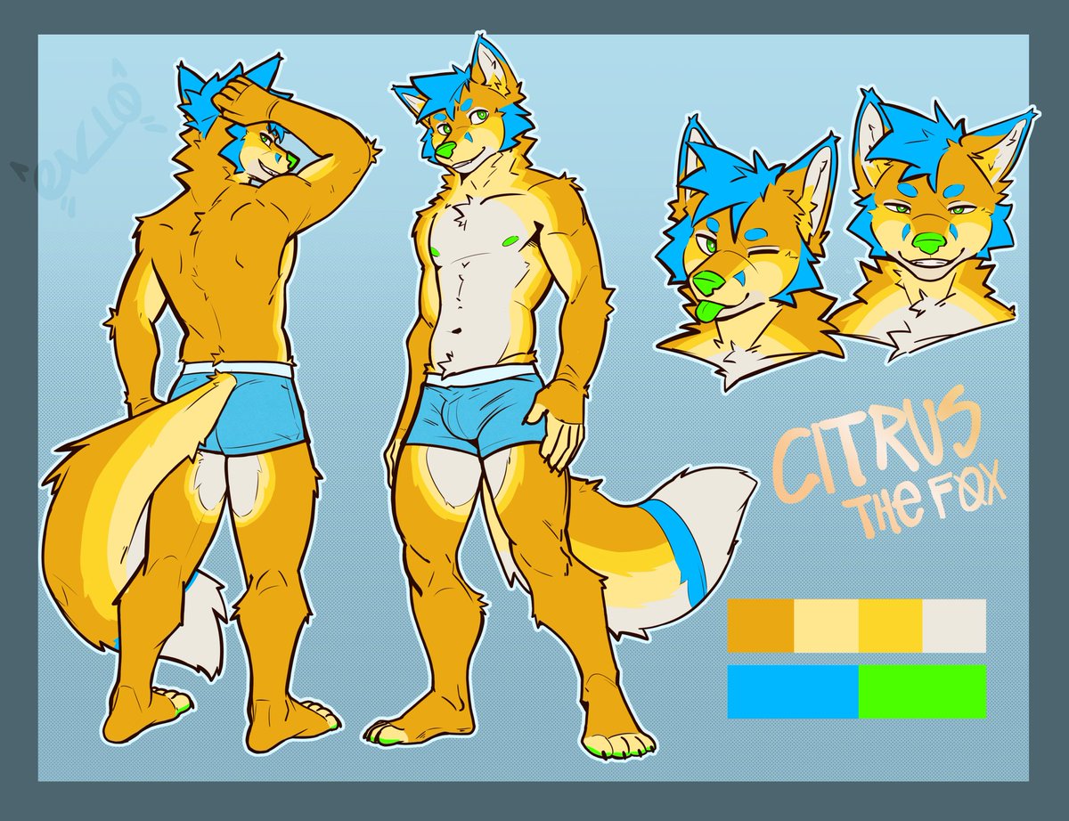 Citrus the Fox!

Ref sheet for <a href="/TehRandomFox/">ThatRandomFox 🔜TFF</a>
