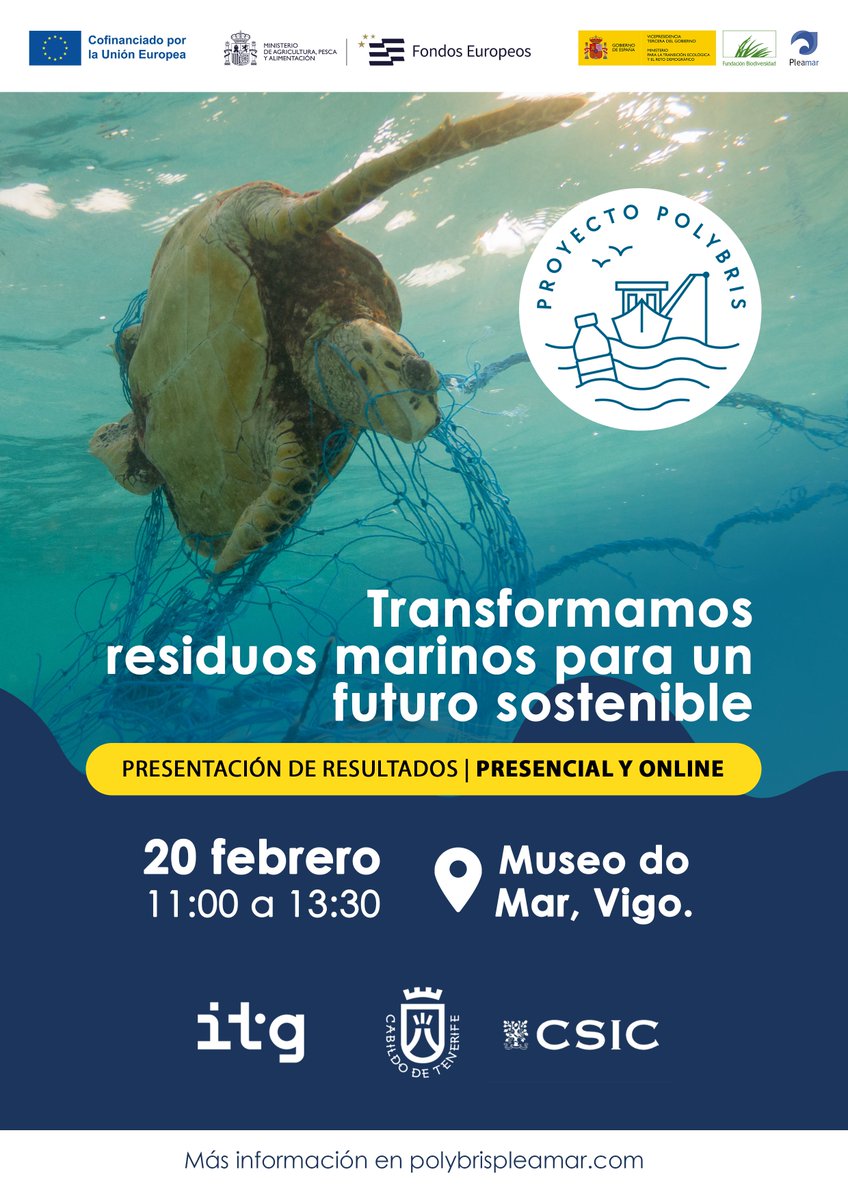 PolybrisPleamar tweet media