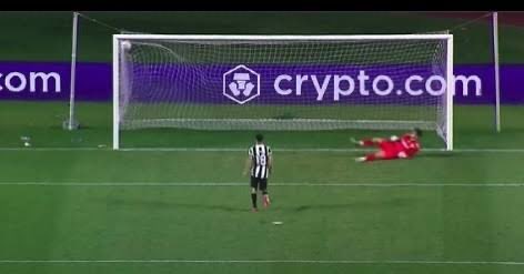 Botafogo é Povo tweet media