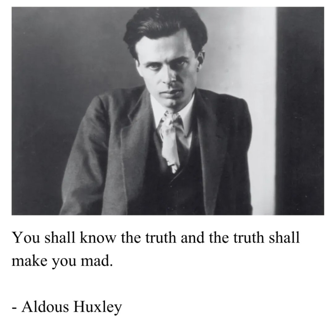 dseekerman's tweet image. gn.