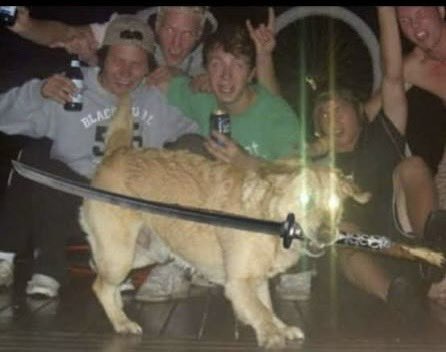 tbae ❄️ tweet media