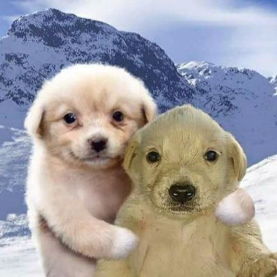 Pixel_20b2aa's tweet photo. @bbnomula Me and bro at the concert (hopefully) https://t.co/Kaz9LNVk89