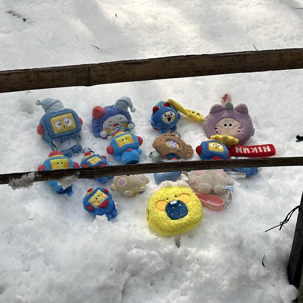 almum 🧸 tweet media