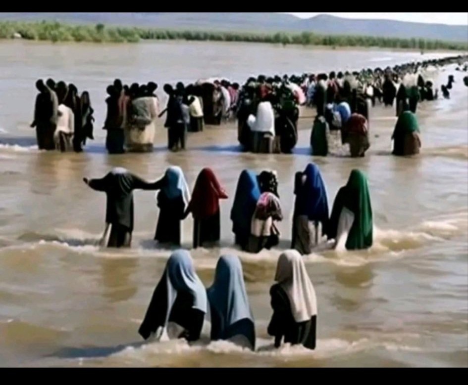 Who else is with me? I don't have a phobia, I have survival instincts!