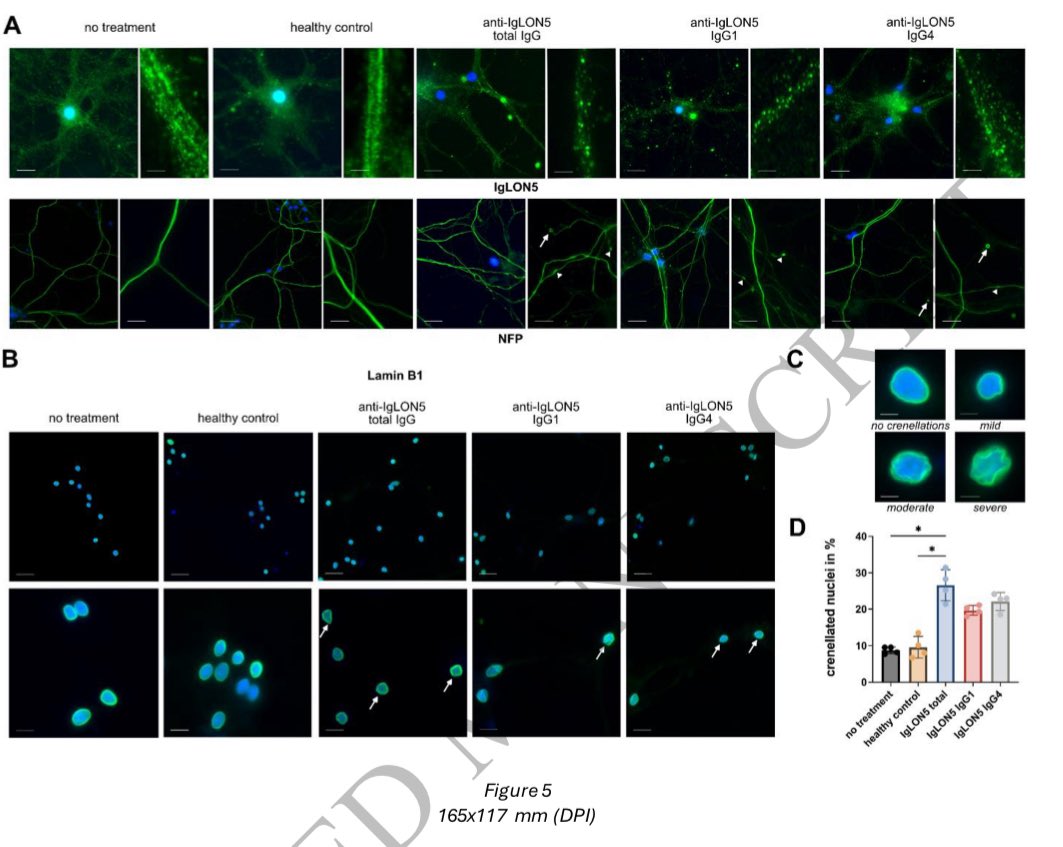 Andreu Vilaseca tweet media