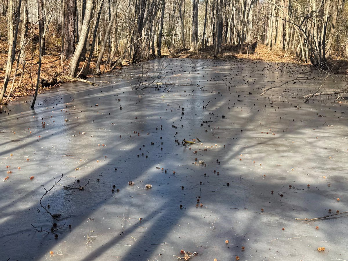 Bill Leslie tweet media