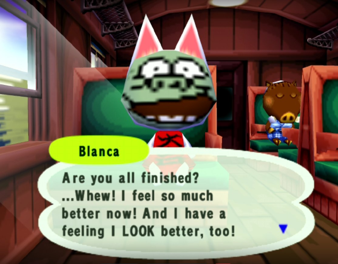 Birdices tweet media