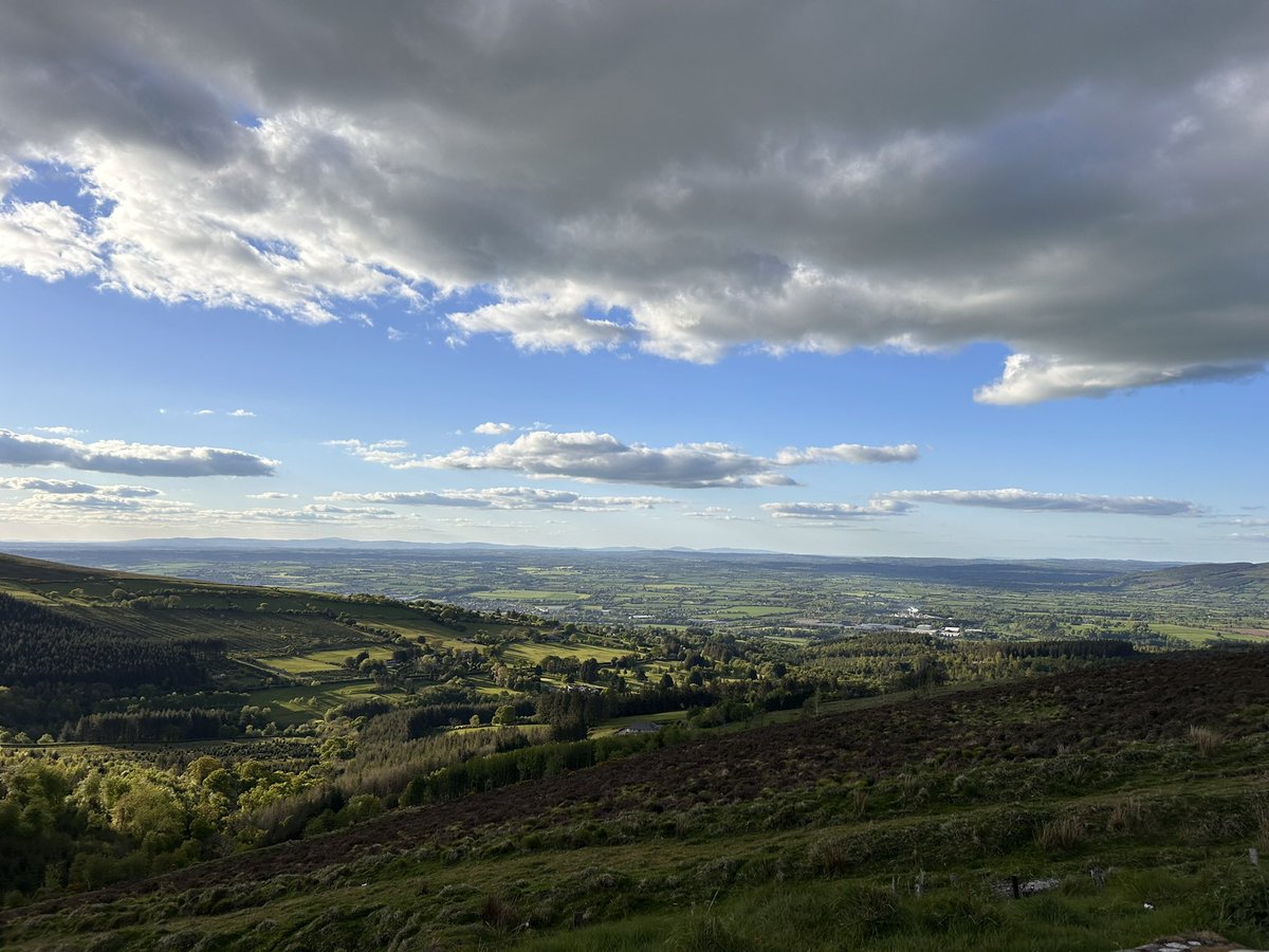 LastHoldout tweet media