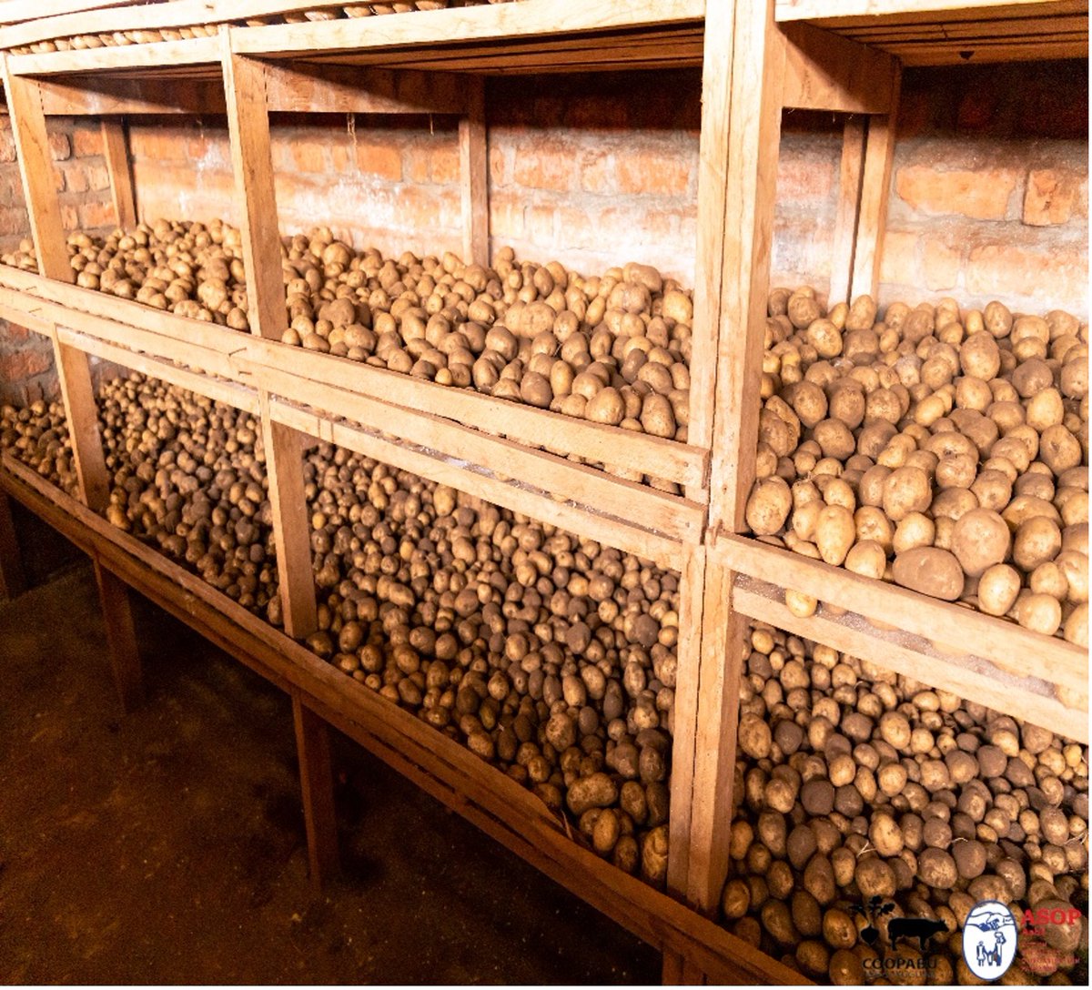 Eastern Congo Initiative tweet media