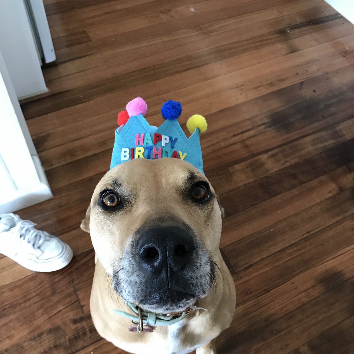 emily 🤍 tweet media