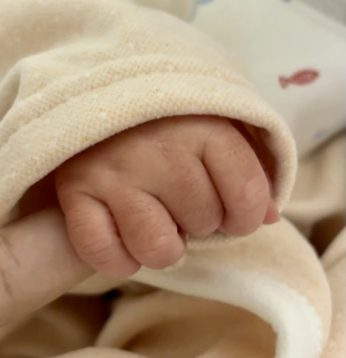 وشفتك صرت كلي حِلم .. 🥺❣️.