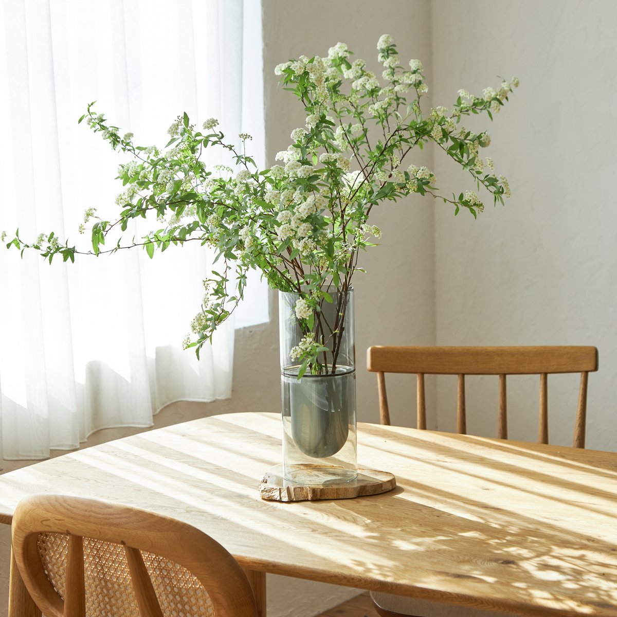 春の枝ものをご紹介🌿 コデマリは、その名の通り、小さな手毬のような