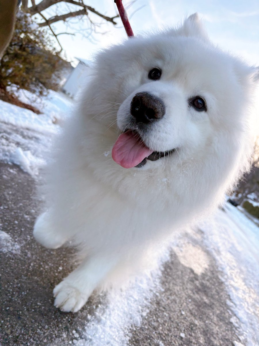 氷点下10℃でも元気🐻‍❄️✨