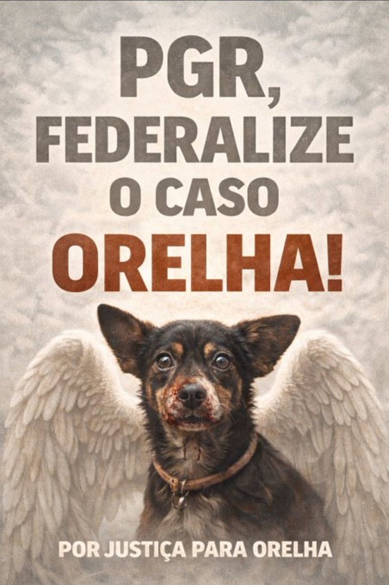 S1L3Nc1013's tweet photo. #FEDERALIZAÇÃODOCASOORELHA 
#FEDERALIZAÇÃODOCASOORELHA
#FEDERALIZAÇÃODOCASOORELHA
#FEDERALIZAÇÃODOCASOORELHA
#FEDERALIZAÇÃODOCASOORELHA
#FEDERALIZAÇÃODOCASOORELHA
#FEDERALIZAÇÃODOCASOORELHA
#FEDERALIZAÇÃODOCASOORELHA
#FEDERALIZAÇÃODOCASOORELHA
#FEDERALIZAÇÃODOCASOORELHA https://t.co/zZNG6Ga4K8