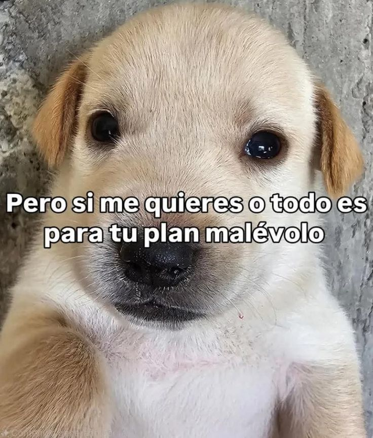 LUNES DE BITS  
RT Y SALUDITOOOO VENTEEEE
TTV/DRABBUD