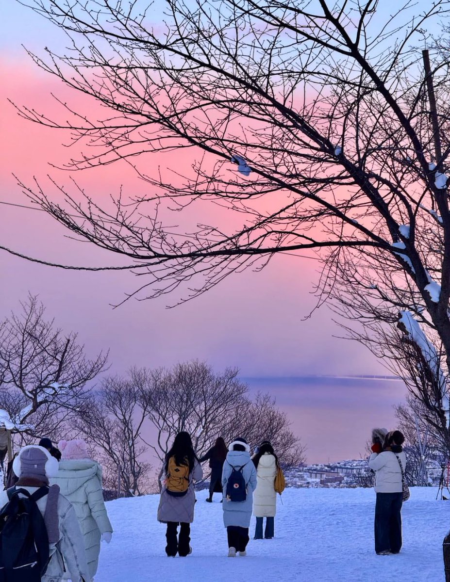 RosettaJeanTea's tweet photo. Strolling into a dreamscape painted in pastel hues! ๐ธโ๏ธโจ Every step leads to a winter wonderland! #WinterWonders #Nature'sPalette #ChasingSunset https://t.co/diXeXmlCip