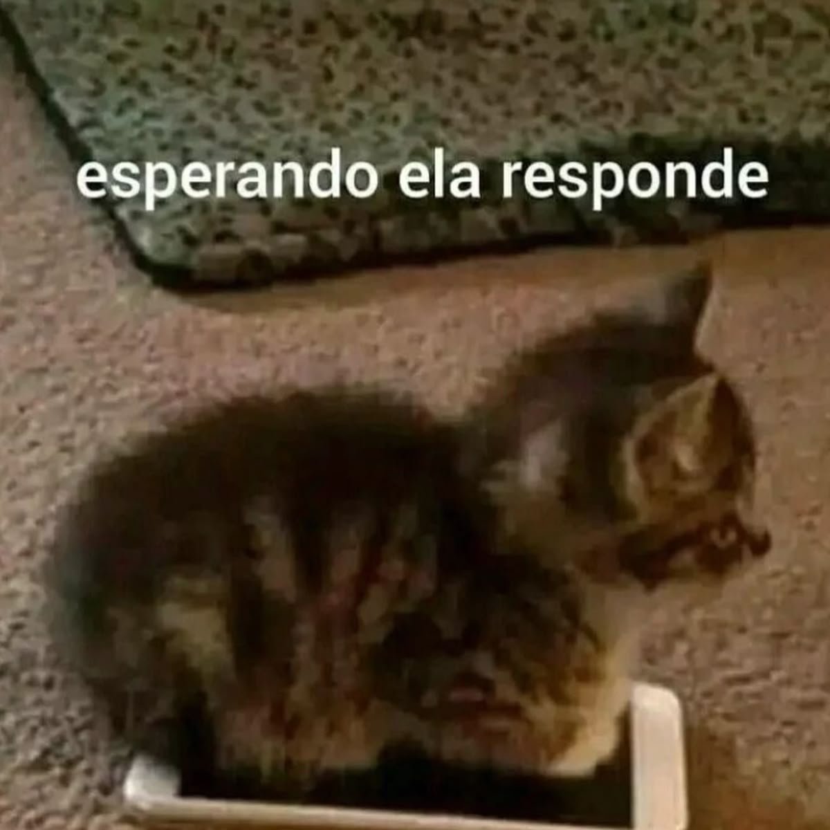 posts que eu me indentifico (@engualeukkk) on Twitter photo 