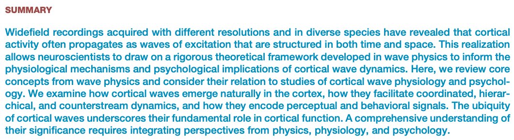 Alex Fornito tweet media