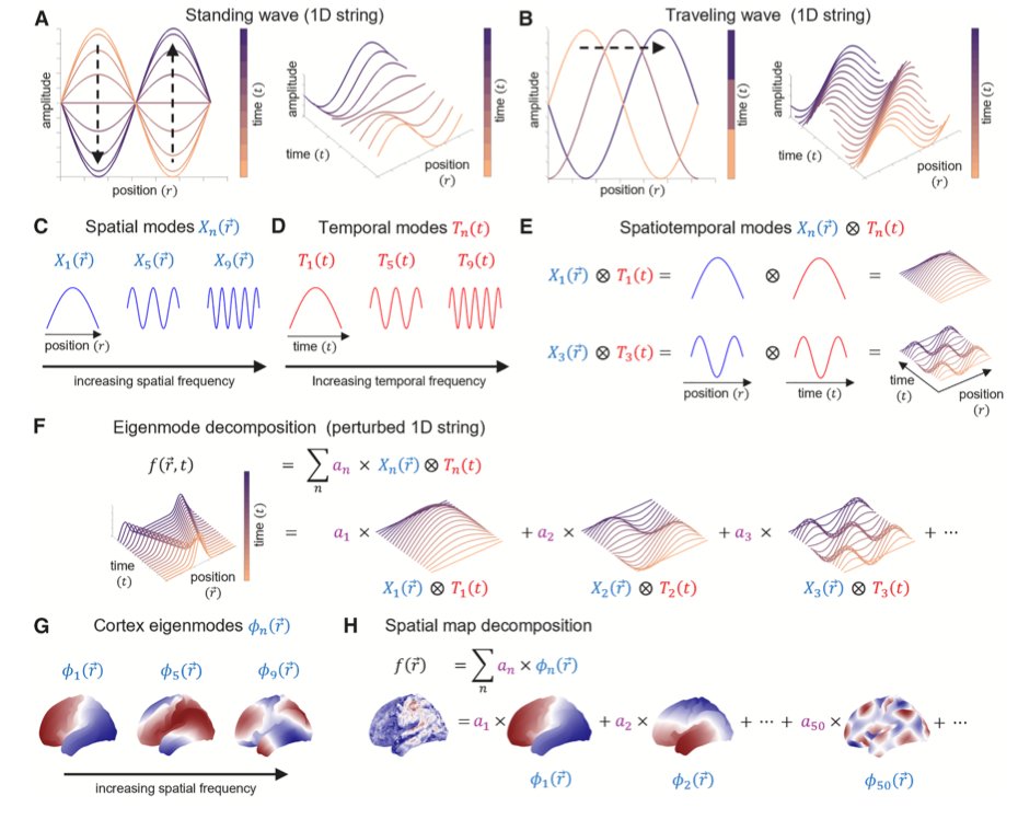 Alex Fornito tweet media