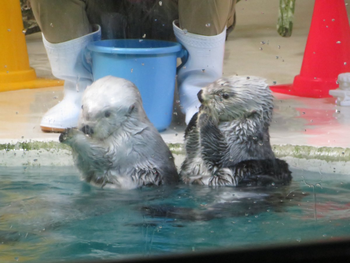 おはようございます☀️
