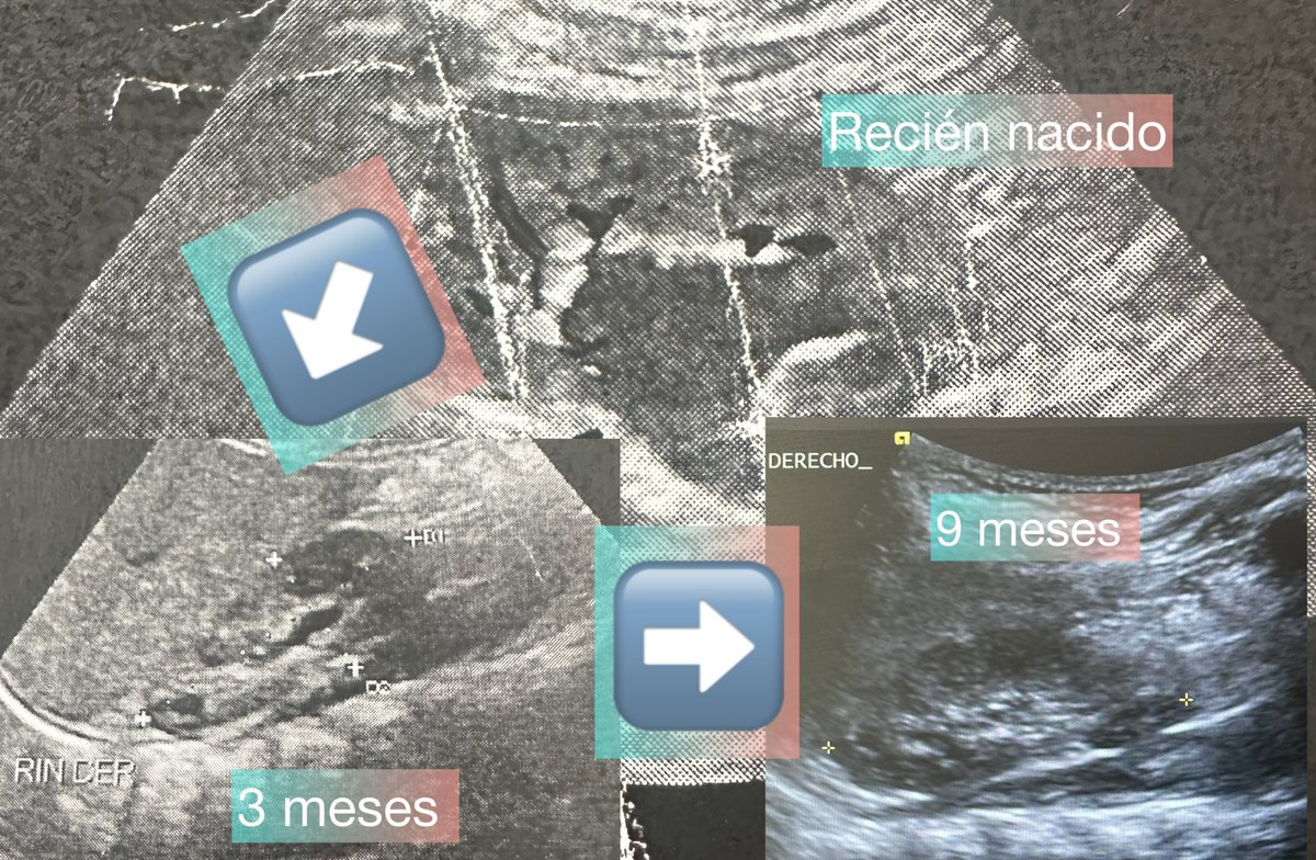 Gildardo Manzo MD tweet media