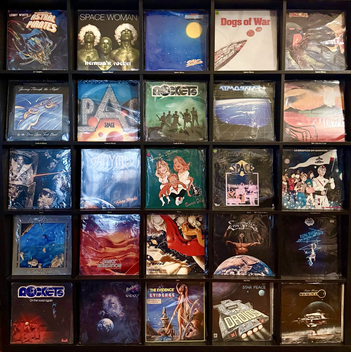 DataBaes tweet media